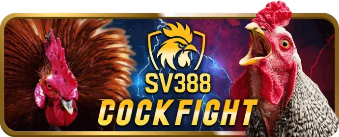 Giao diện ứng dụng vn583 trên điện thoại di động