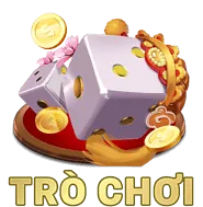 Quan sát trực tiếp